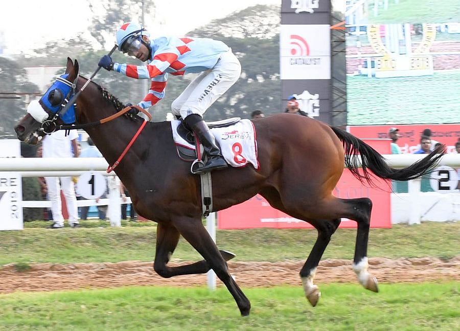 Representative image. Credit: DH Photo