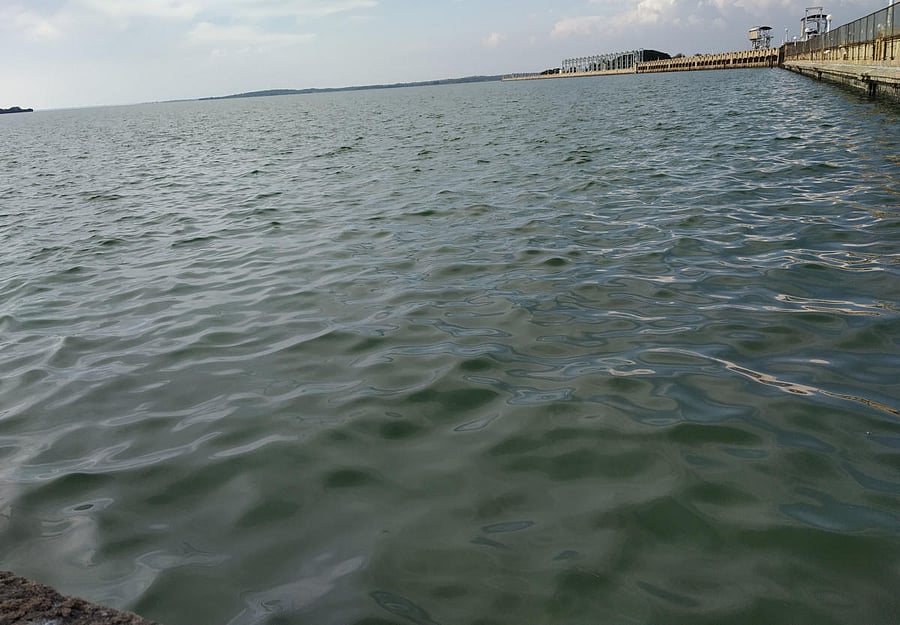 Krishnaraja Sagar dam in Mandya district. dh-file photo