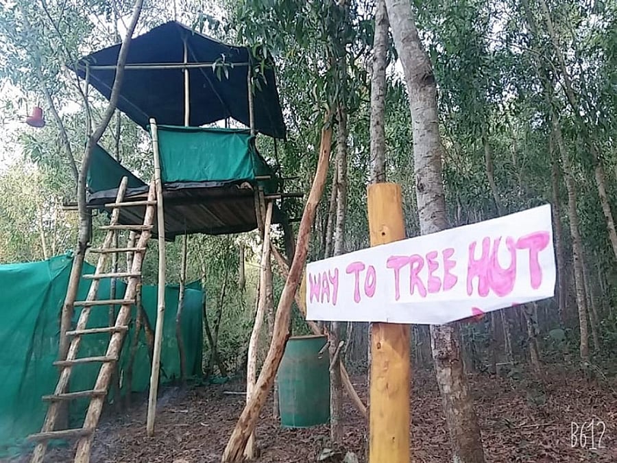 The tree hut built by Vivek Alva at Punchappadi village of Savanur in Puttur taluk.