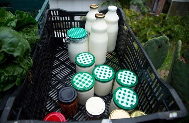 J&K govt to provide milk to anganawadi centres (AFP File Photo)