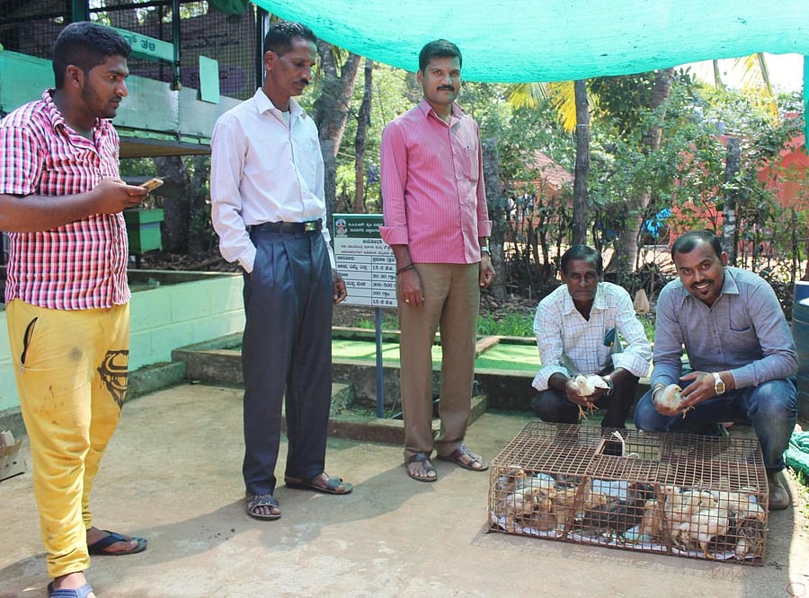 Krishi Vigyan Kendra head Dr Bharath Kumar with farmers who have reared chicken in Mudigere.