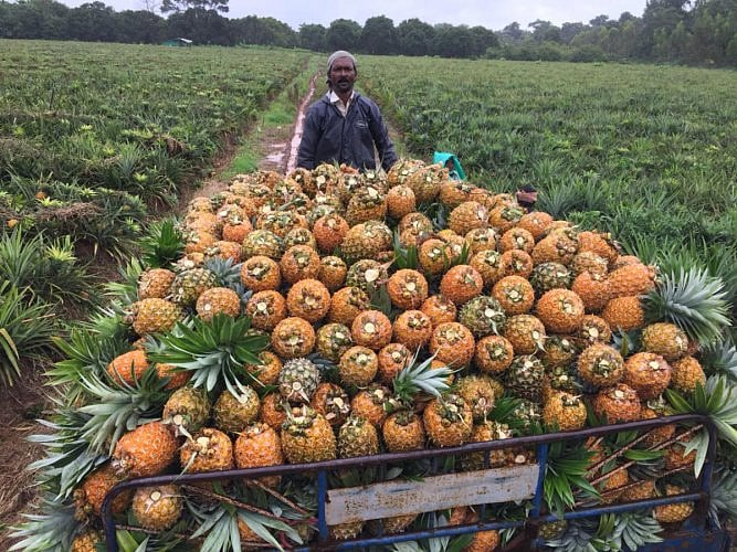 Produce from districts will be sold in all wards of Bengaluru on April 25 and 26.
