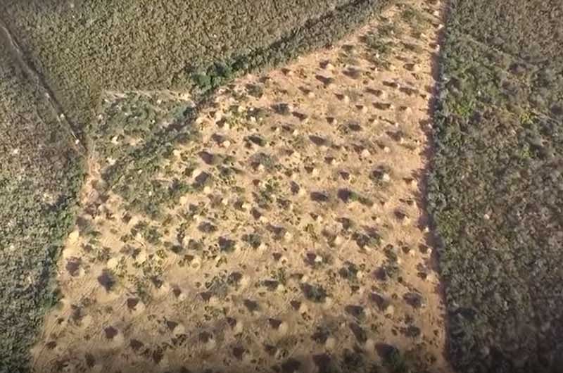 The mounds, which are easily visible on Google Earth, are not nests, according to the study published in the journal Current Biology. (Screengrab)