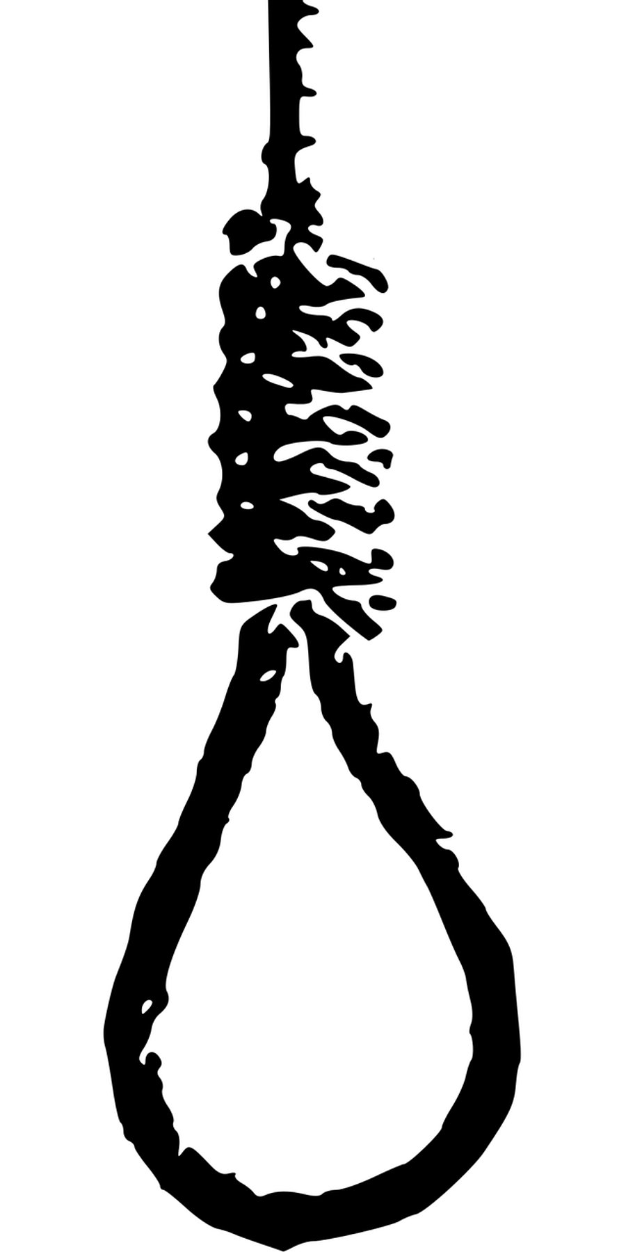 Representative Image (Image by OpenClipart-Vectors from Pixabay)