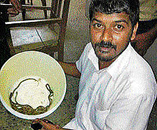 Kaushik with the baby snakes. DH Photo