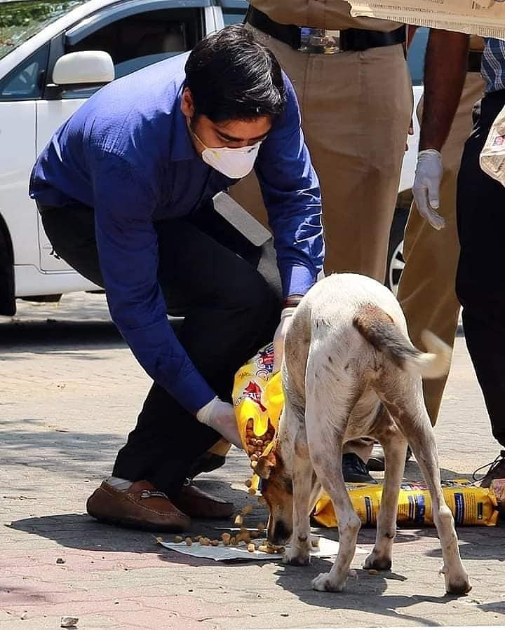 Ernakulam collector S Suhas feeding a stray dog in Kochi. (Credit: DH Photo)