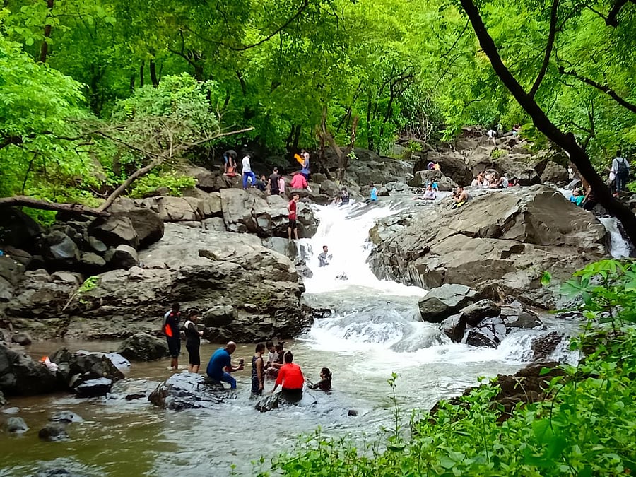 Tungareshwar Wildlife Sanctuary