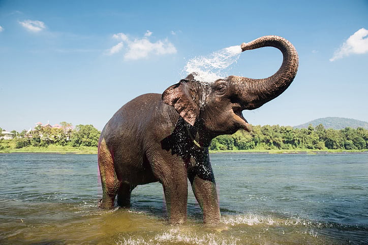 Representative image (iStock Photo)