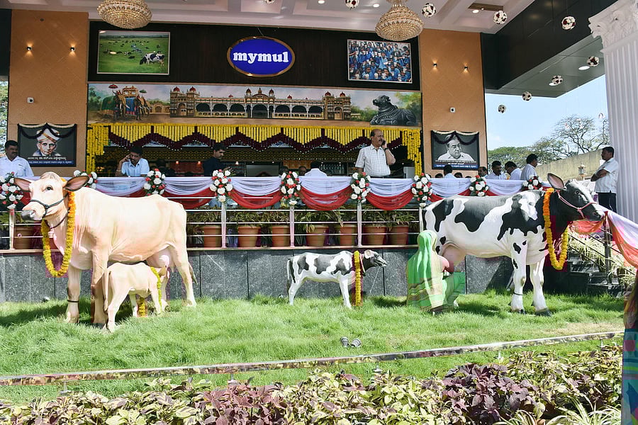 The milk vending outlet of Mymul, on Bannur Road, Siddartha Nagar, in Mysuru, (DH Photo)