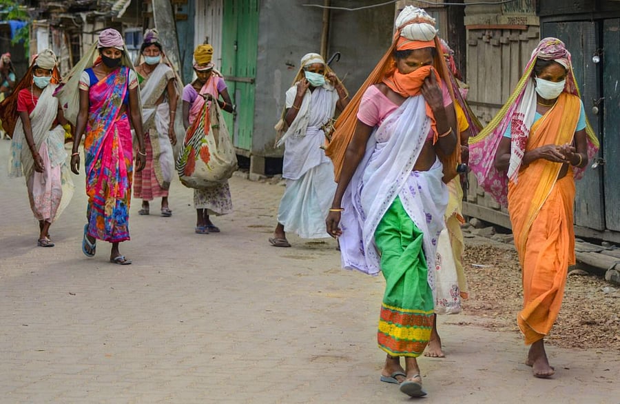 Women belonging to the tea-tribe community return to their homes from the gardens in Assam (PTI Photo)