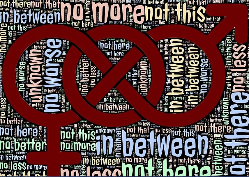 Representational Image--Excluded from govt schemes, Transgenders demand justice (Picture credit: Pixabay)
