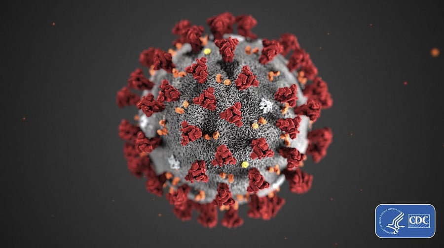 A novel coronavirus virus was identified as the cause of an outbreak of respiratory illness first detected in Wuhan, China in 2019. (Reuters Image)