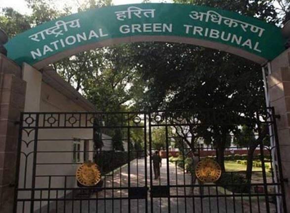 National Green Tribunal (File Photo)