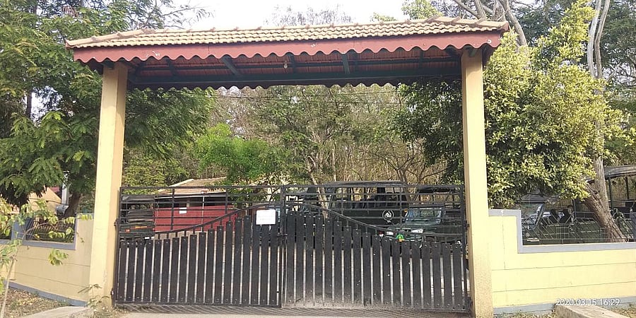 Bandipur Safari camp. (DH Photo)