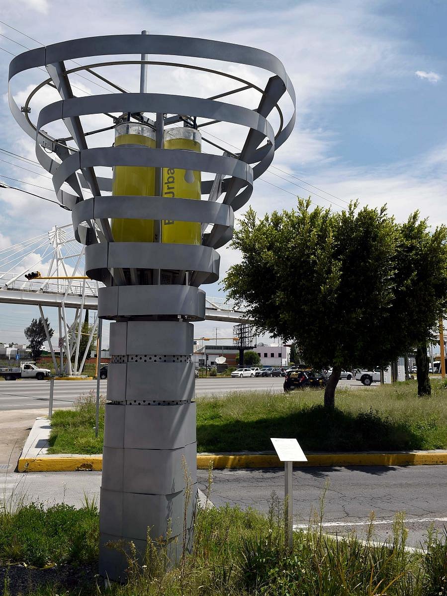 "BioUrban 2.0" air purification system in Puebla, Mexico on August 7, 2019. (Photo by AFP)