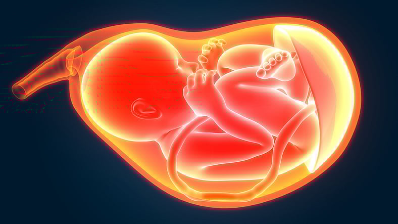 Representative image (iStock)