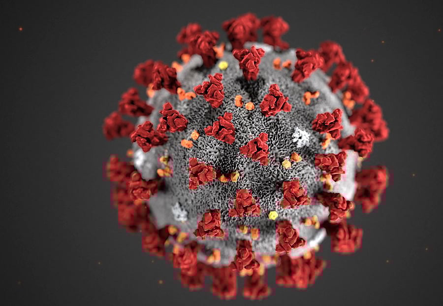 The ultrastructural morphology exhibited by the novel coronavirus. (Credit: AFP)