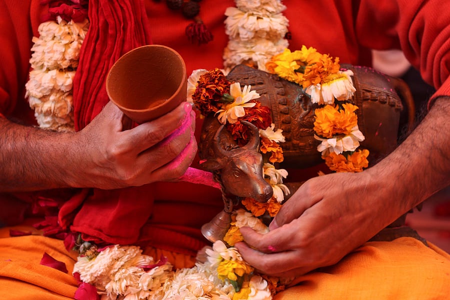 A member of All India Hindu Mahasabha holds an idol of a cow after drinking cow urine during a gaumutra (cow urine) party, which according to them helps in warding off coronavirus disease (COVID-19), in New Delhi, India March 14, 2020. (REUTERS Photo)