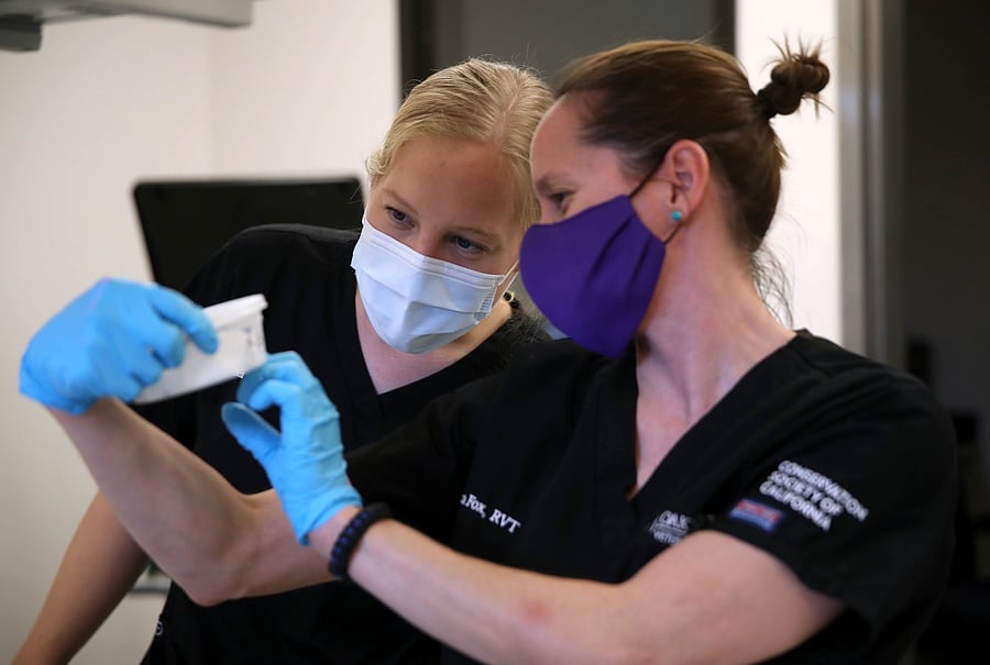 In many countries, official data includes only deaths reported in hospitals, not those in homes or nursing homes. (Credit: AFP Photo)