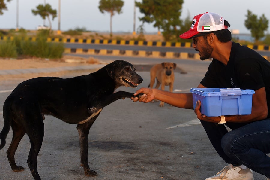 Abandoned when Pakistan's largest cities went into lockdown, hundreds of caged cats, dogs and rabbits have been found dead inside pet markets hurriedly shuttered as the coronavirus spread. (AFP)