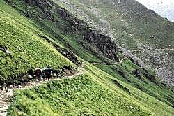 Trekkers Paradise On the way to conquer Kalu Vinayak. Photo by author