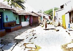 (A)pathetic: The Bullapura tanda on the border between Davangere and Chitradurga districts has no basic facilities. DH photo