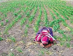 ... This is my land: A DH file photo of a poor landowner protesting against Poscos steel plant coming up in Gadag.