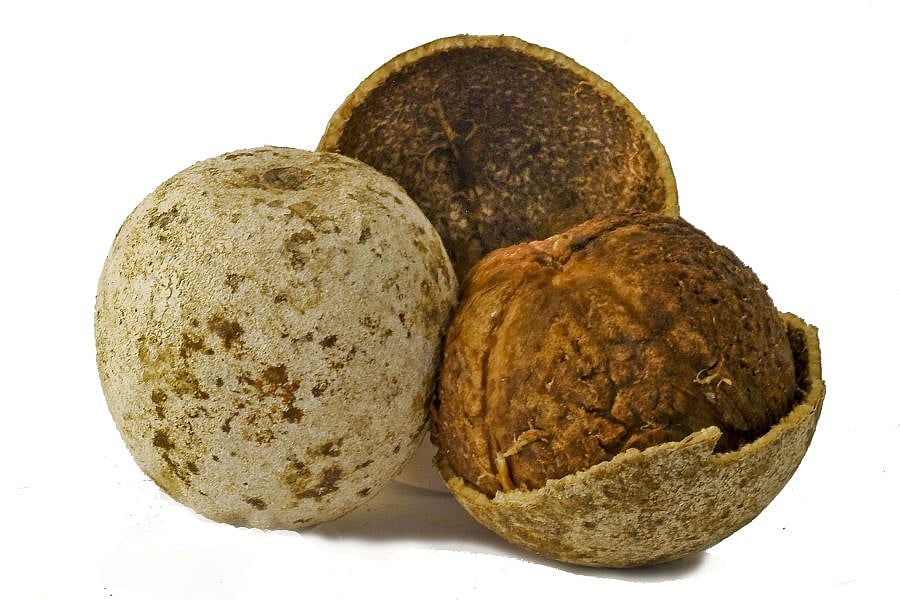 Wood apple. Picture credit: flickr.com/ Hafiz Issadeen