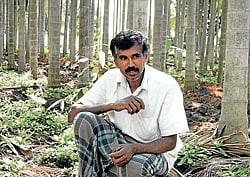 Collective effort Hanumantharaju, the man behind the group, has changed farmers perceptions about organic cultivation. (Photos by the author)