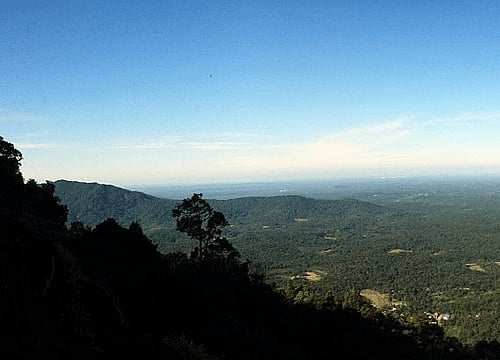 Wikipedia file image