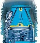 Illustrations: Krishnakumar