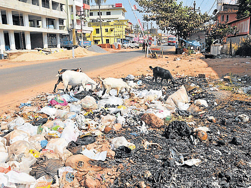 Litter strewn across the stretch on Thokkuttu - Konaje road. DH photo