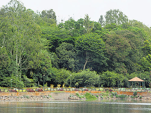 Over the years, Sankey Tank has borne the brunt of rampant encroachment by land grabbers. DHNS