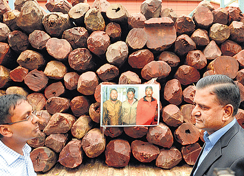 Deputy Commissioner of Police (Crime) Abhishek Goyal and Police Commissioner M N Reddi with logs of Red Sanders wood seized from smugglers (in photo pasted on the logs). DH photo