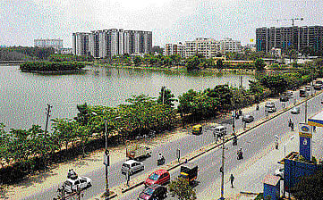 A view of the Kaikondrahalli lake on Sarjapur Road. DH PHOTO