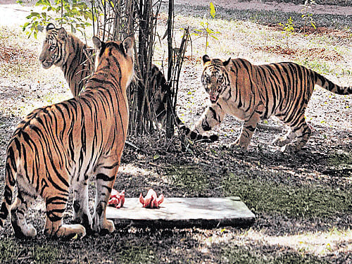 A representative photo.