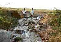 Water gushing out of the breached 15th distribution canal near Tangadagi Road in Muddebihal taluk. dh photo