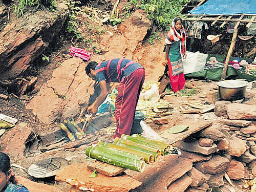 Tribals prepare bongulo chicken. JBS Umanadh