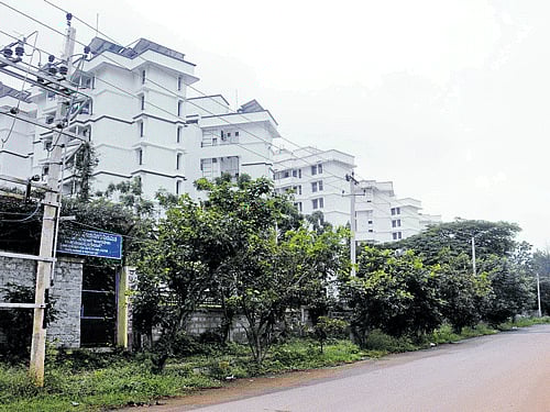 MORE THAN CONCRETE The locality has lush greenery, accounting for almost 25 per cent of the area. dh photos by b h shivakumar