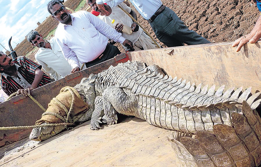 image for representation