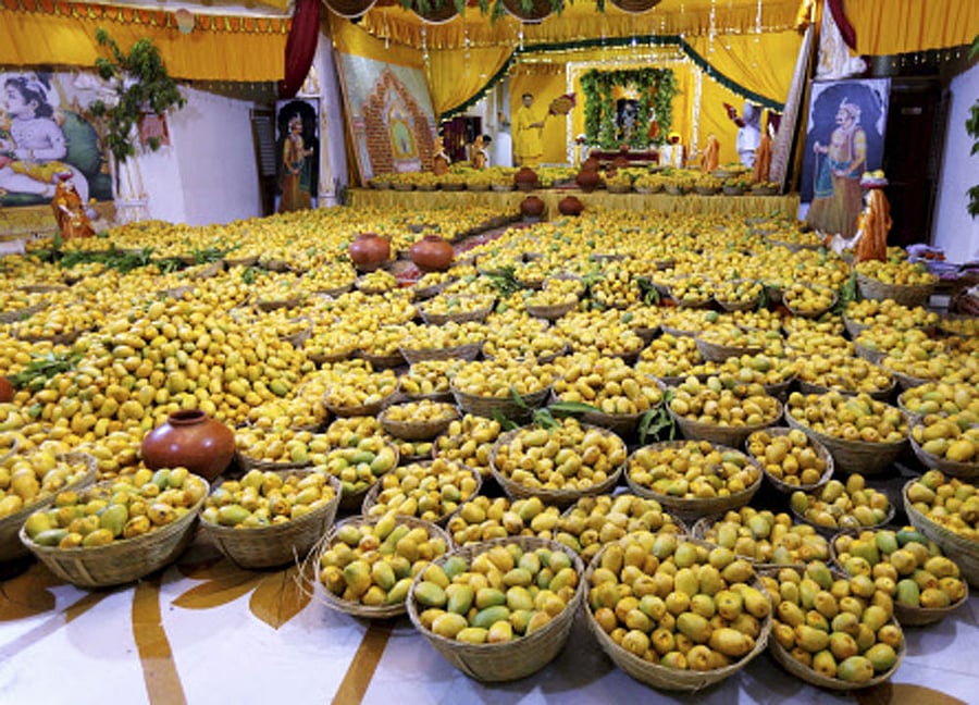 The Post-Harvest Centre and processing units will be set up in the state within three months at a cost of Rs 3.15 crore. DH file Photo
