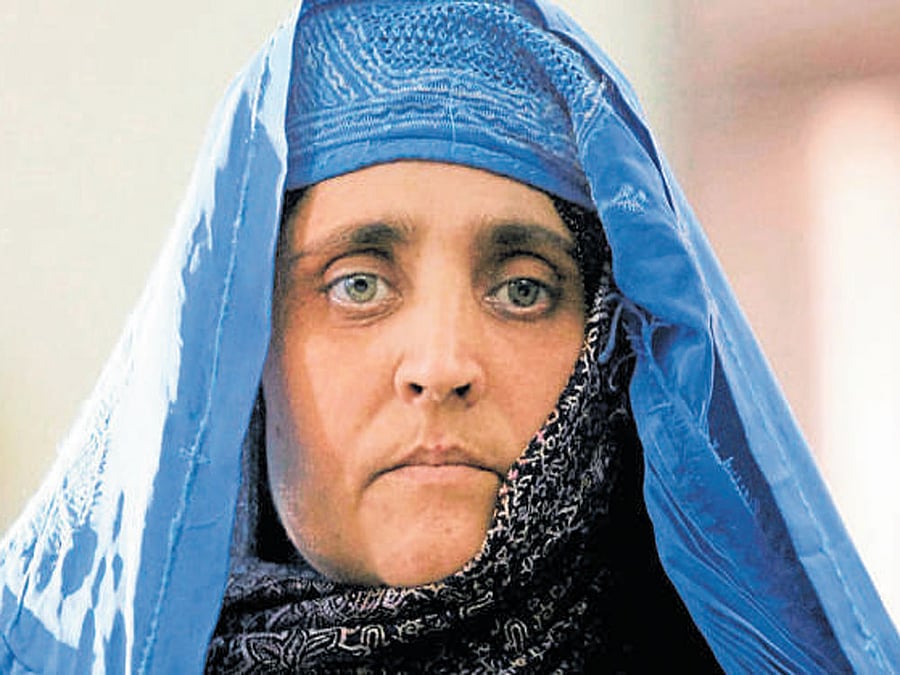 Sharbat Gula