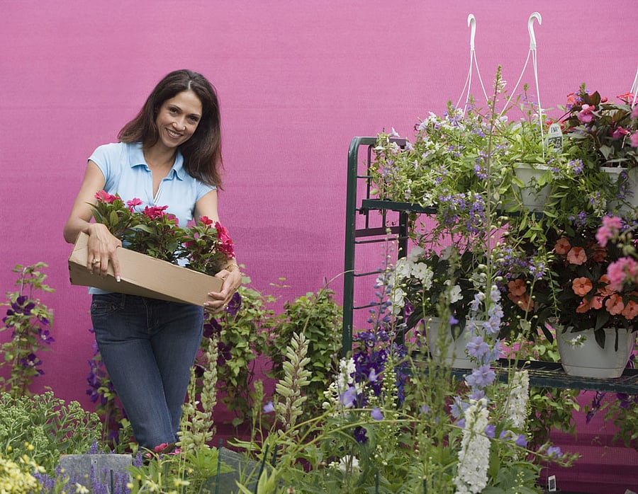 Knowledge: For community gardens, it is specially significant to know how to multiply the plants.