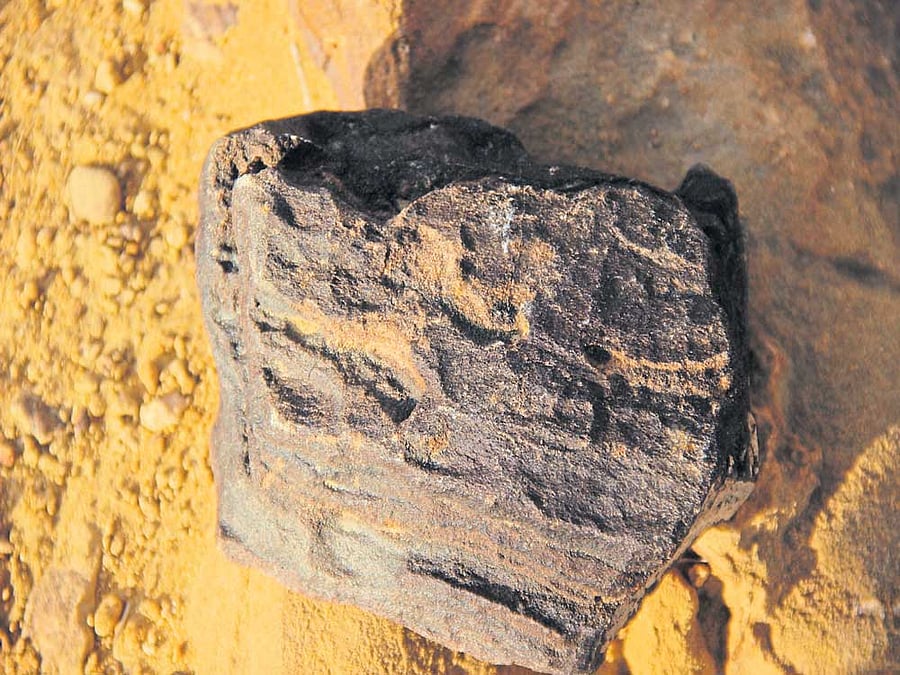 One of the exhibits in Akal Wood Fossil Park near Jaisalmer in Rajasthan. DH photo by Tabeenah Anjum