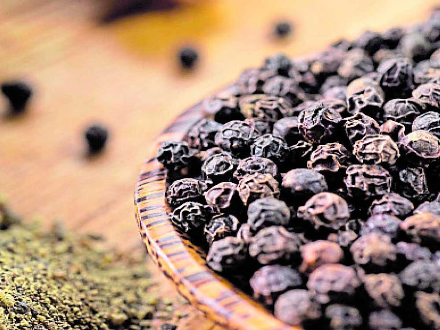Black pepper