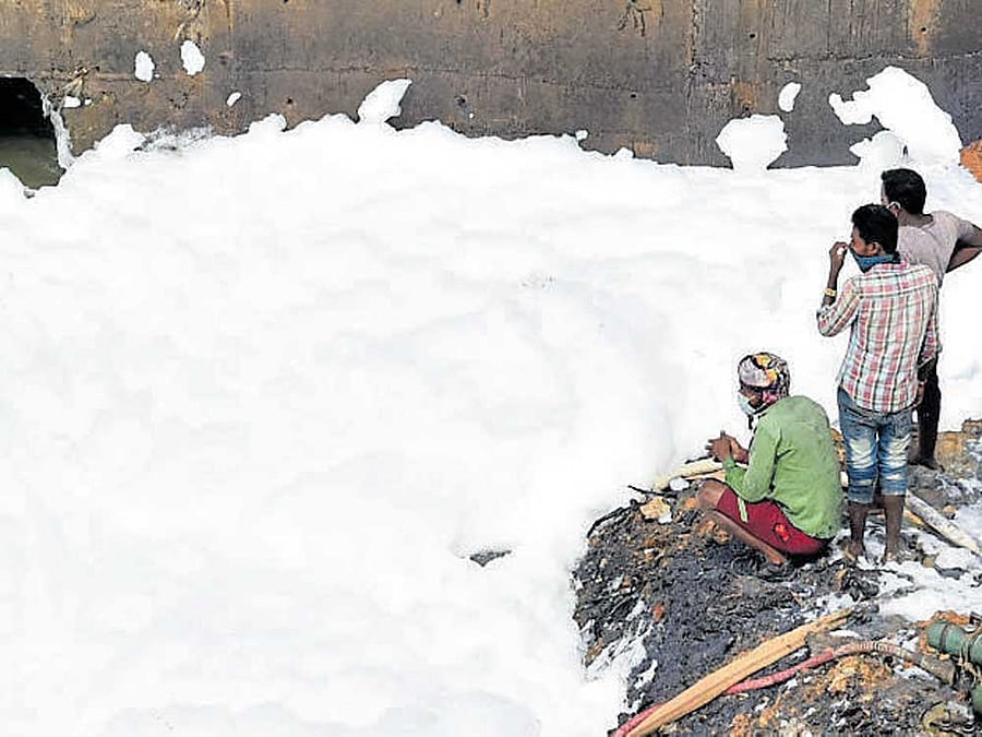 So far, a total of 100 cubic metres of solid waste and weeds from 350 acres area of the lake have been removed and dumped in a stone quarry on the outskirts of Bengaluru. DH FILE PHOTO