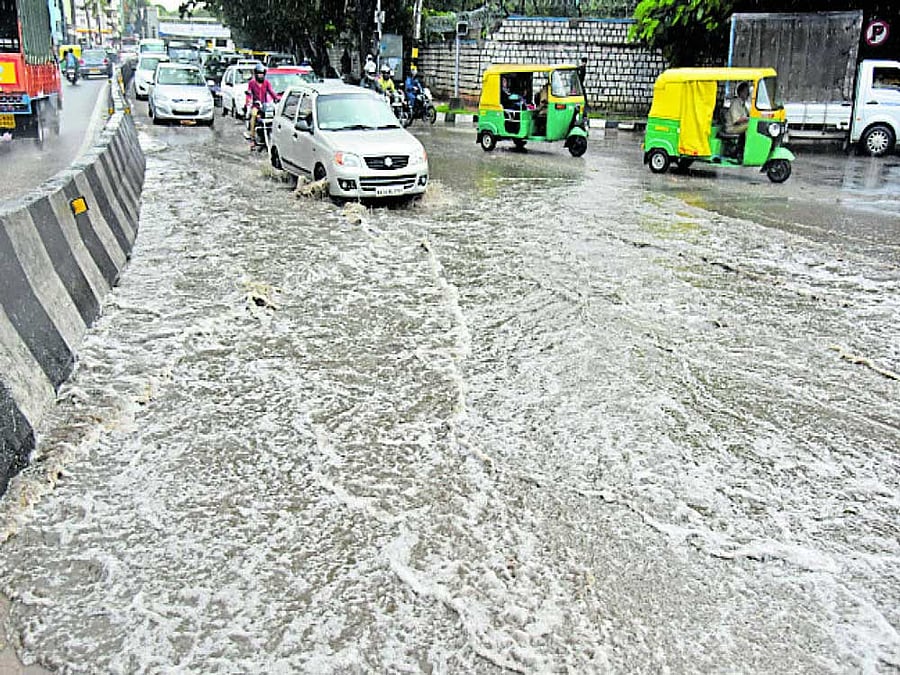 It is the citizens who bear the brunt of unplanned urbanisation, feels Shruthi Reddy, a resident of Hebbal. She says that environmental conservation and urbanisation must go hand in hand. DH photo