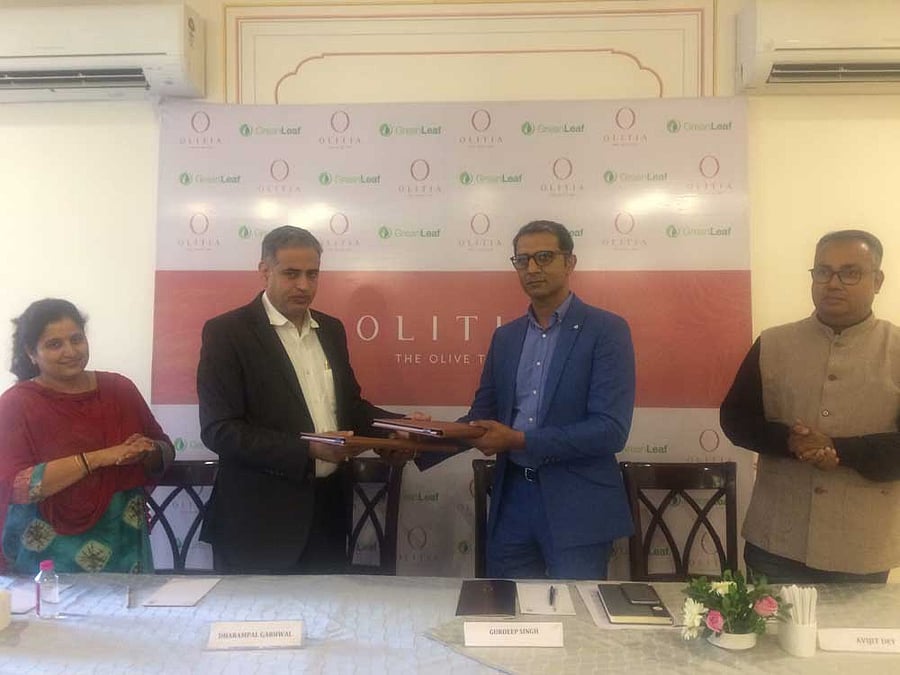 World's First Processed Olive Tea from the farms of Rajasthan reaches Europe