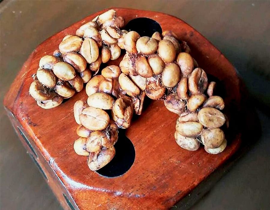 A cup of freshly excreted Civet coffee. PTI photo.
