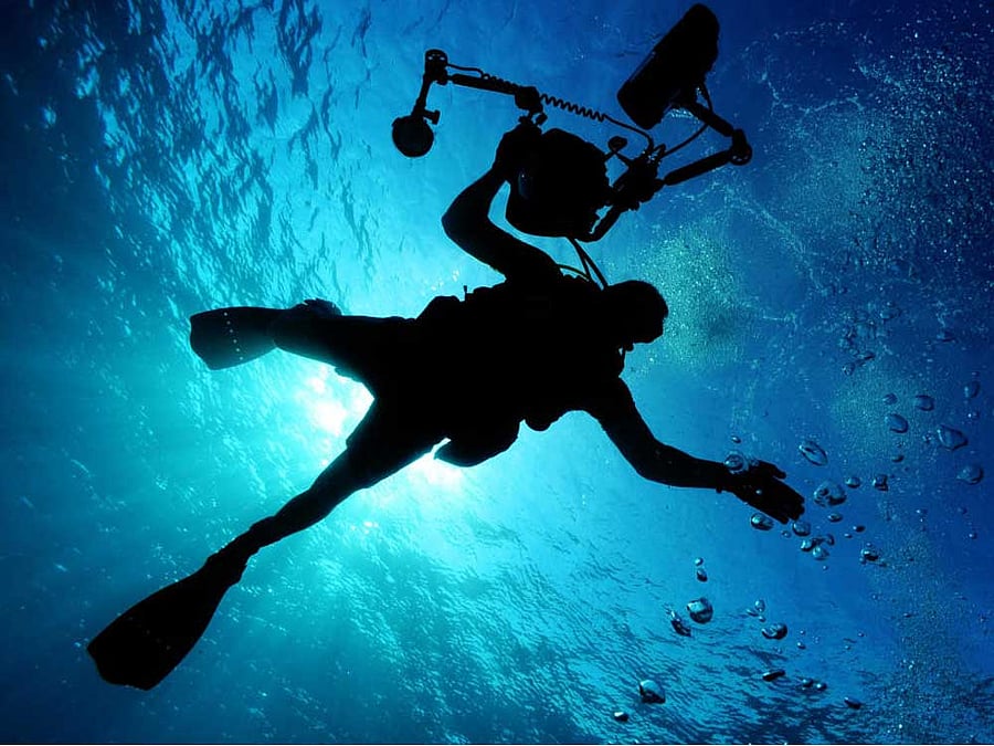 All you have to do is wear a wet suit, pack a tank of compressed air on the back, slip into fins, tie a mask, buckle a pair of goggles, and dive deep into the heart of the ocean.